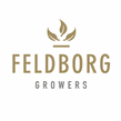 Feldborg Grovers logo